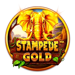 5win8 big win bet cassino iOS